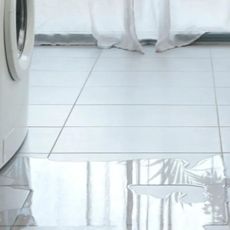 Appliance Leak Cleanup in Greenville, DE