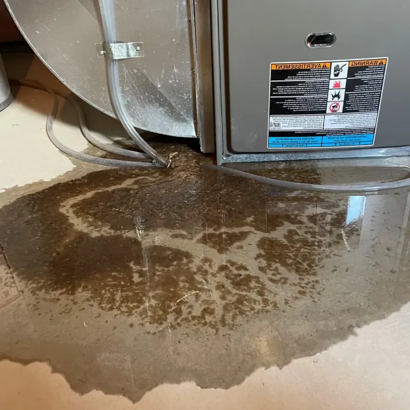 Pipe Burst and Leak Restoration in Greenville, DE