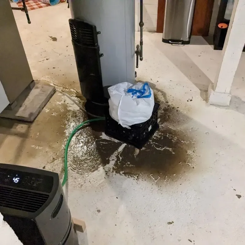 Sewage Backup Cleanup Service in Greenville, DE